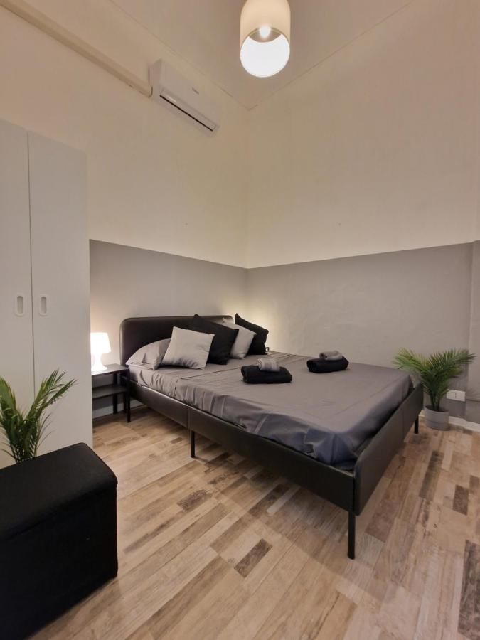 Casa Setter *